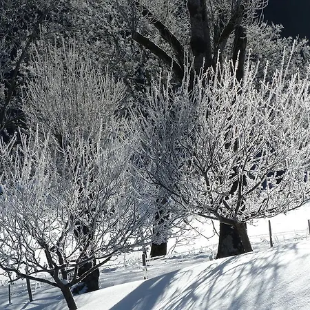 Au Feu De Bois