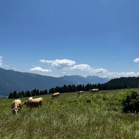 Au Feu De Bois 2*
