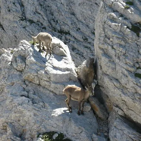 Hotel Au Feu De Bois 2*