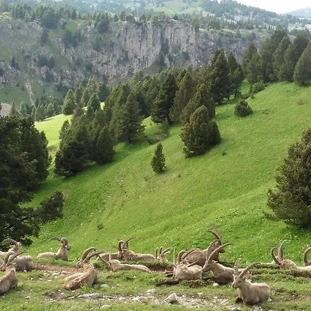 Au Feu De Bois Autrans-Meaudre-en-Vercors