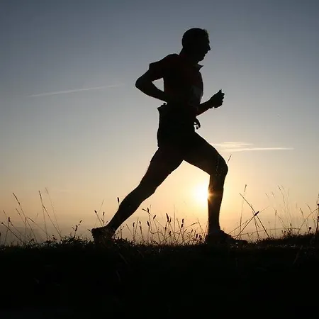Au Feu De Bois Hotel Autrans-Meaudre-en-Vercors